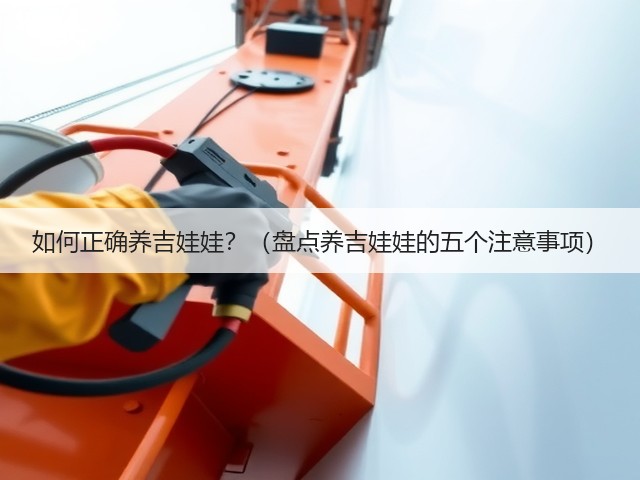 如何正确养吉娃娃？（盘点养吉娃娃的五个注意事项）(图3)