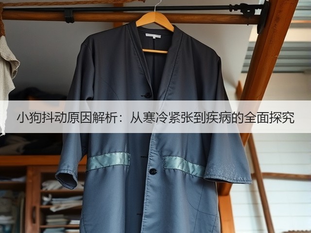 小狗抖动原因解析:从寒冷紧张到疾病的全面探究(图2) 小狗抖动原因解析:从寒冷紧张到疾病的全面探究(图2)