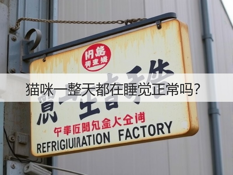 猫咪一整天都在睡觉正常吗？