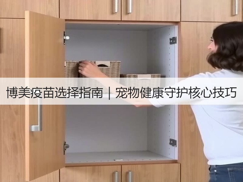 博美疫苗选择指南｜宠物健康守护核心技巧