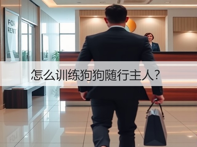 怎么训练狗狗随行主人?(图2) 怎么训练狗狗随行主人?(图2)