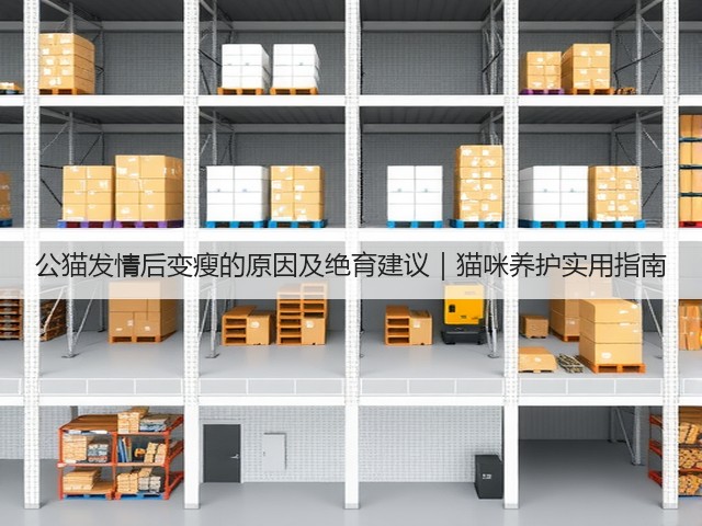 公猫发情后变瘦的原因及绝育建议|猫咪养护实用指南(图3) 公猫发情后变瘦的原因及绝育建议|猫咪养护实用指南(图3)