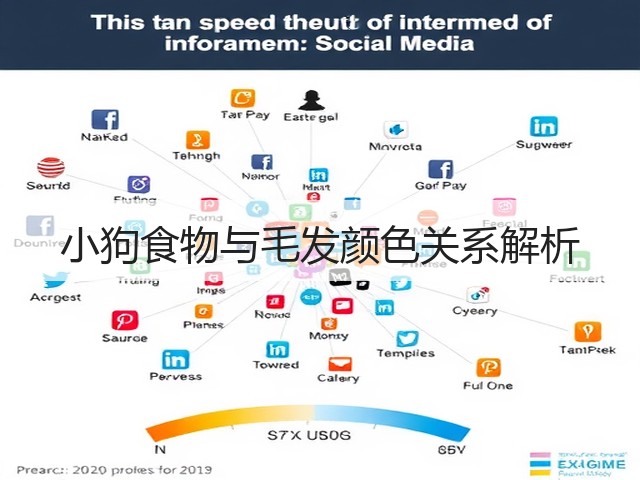 小狗食物与毛发颜色关系解析(图3) 小狗食物与毛发颜色关系解析(图3)