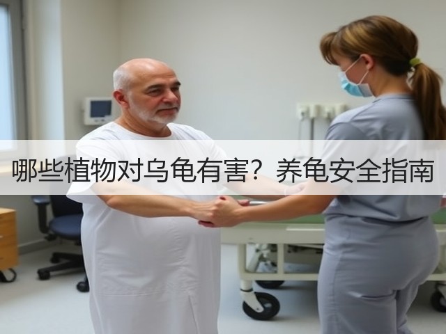 哪些植物对乌龟有害？养龟安全指南(图2)