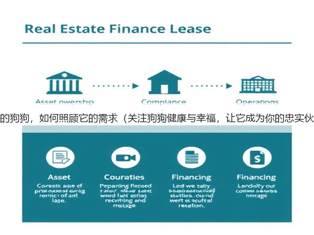 新买的狗狗,如何照顾它的需求(关注狗狗健康与幸福,让它成为你的忠实伙伴)(图3) 新买的狗狗,如何照顾它的需求(关注狗狗健康与幸福,让它成为你的忠实伙伴)(图3)