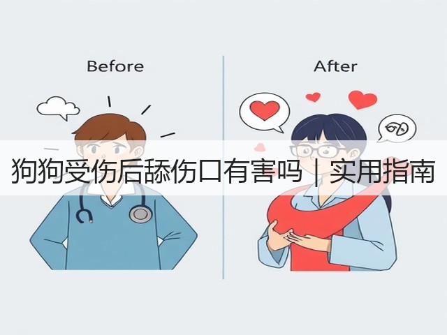 狗狗受伤后舔伤口有害吗|实用指南(图1) 狗狗受伤后舔伤口有害吗|实用指南(图1)