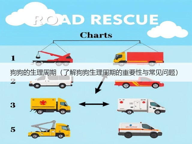 狗狗的生理周期(了解狗狗生理周期的重要性与常见问题)(图1) 狗狗的生理周期(了解狗狗生理周期的重要性与常见问题)(图1)