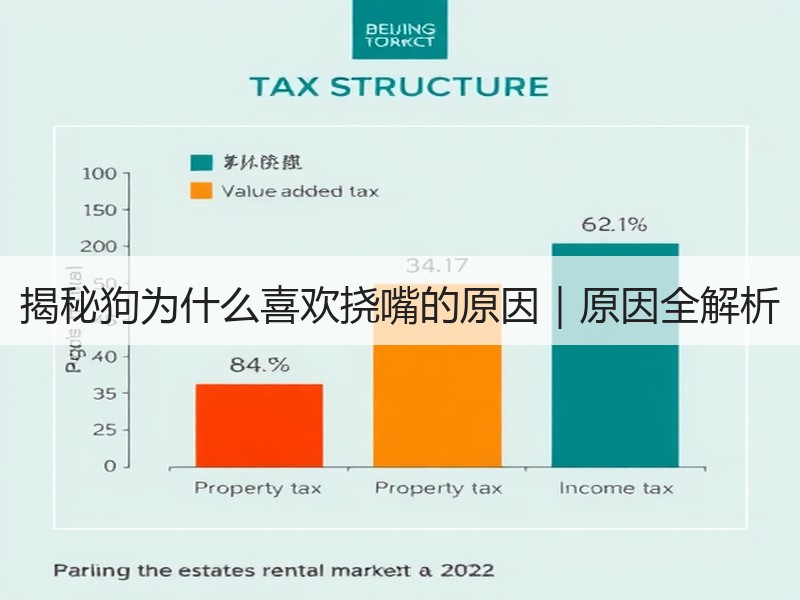 揭秘狗为什么喜欢挠嘴的原因｜原因全解析