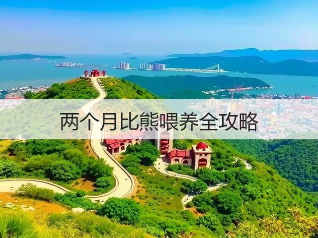 两个月比熊喂养全攻略(图3) 两个月比熊喂养全攻略(图3)