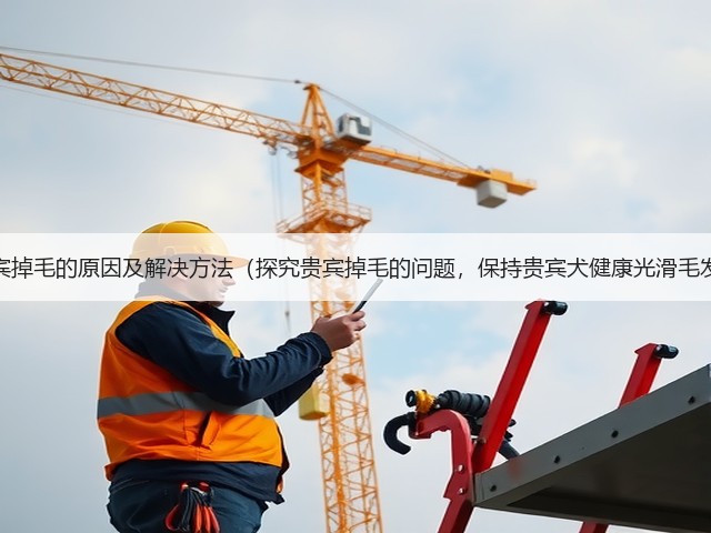 贵宾掉毛的原因及解决方法(探究贵宾掉毛的问题,保持贵宾犬健康光滑毛发)(图3) 贵宾掉毛的原因及解决方法(探究贵宾掉毛的问题,保持贵宾犬健康光滑毛发)(图3)
