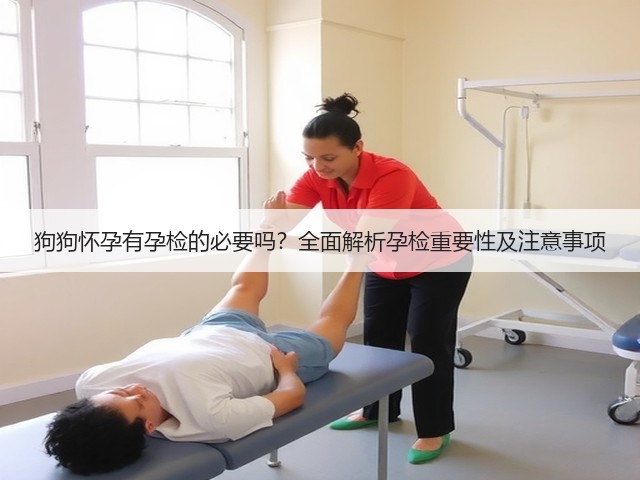 狗狗怀孕有孕检的必要吗？全面解析孕检重要性及注意事项(图3)