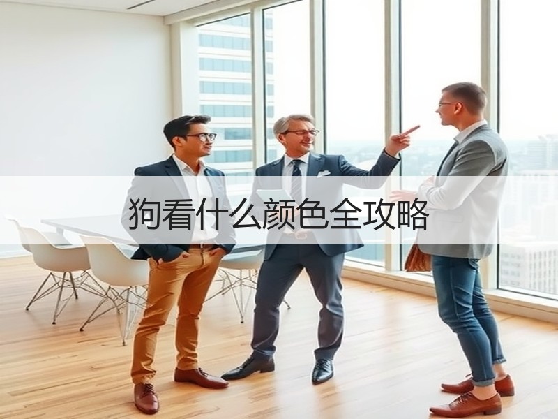 狗看什么颜色全攻略