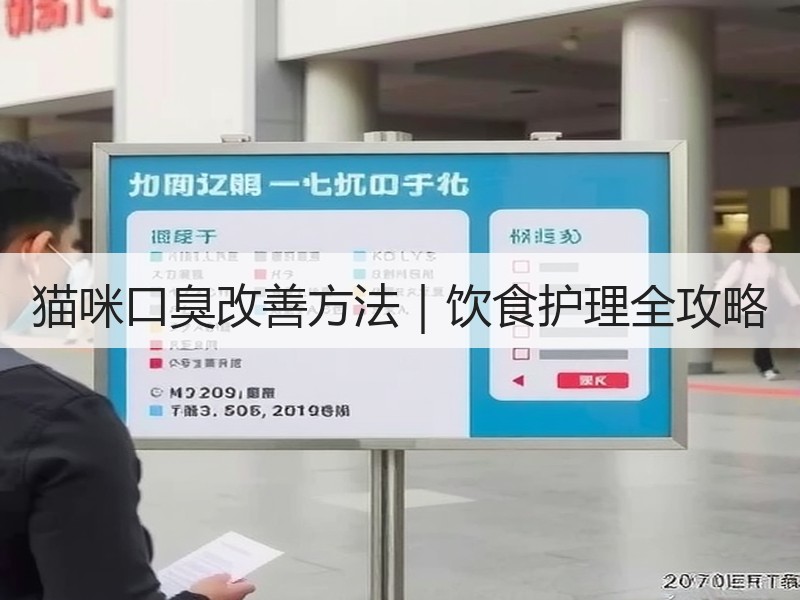 猫咪口臭改善方法｜饮食护理全攻略