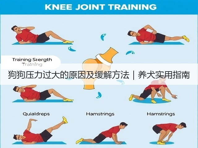 狗狗压力过大的原因及缓解方法|养犬实用指南(图1) 狗狗压力过大的原因及缓解方法|养犬实用指南(图1)