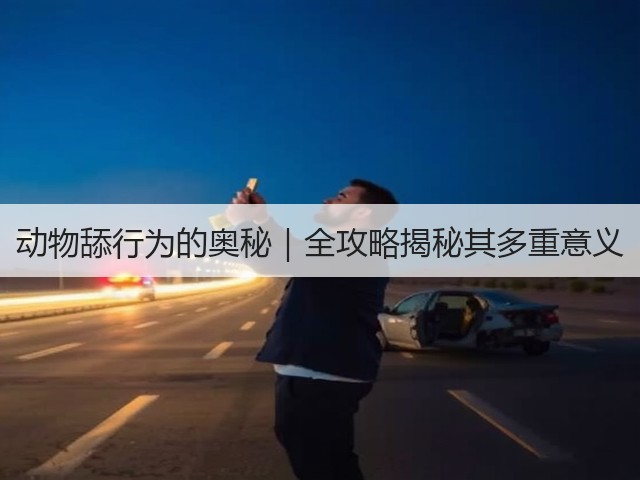 动物舔行为的奥秘|全攻略揭秘其多重意义(图1) 动物舔行为的奥秘|全攻略揭秘其多重意义(图1)