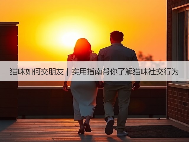 猫咪如何交朋友｜实用指南帮你了解猫咪社交行为(图3)