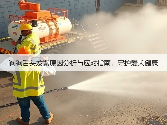 狗狗舌头发紫原因分析与应对指南,守护爱犬健康(图3) 狗狗舌头发紫原因分析与应对指南,守护爱犬健康(图3)