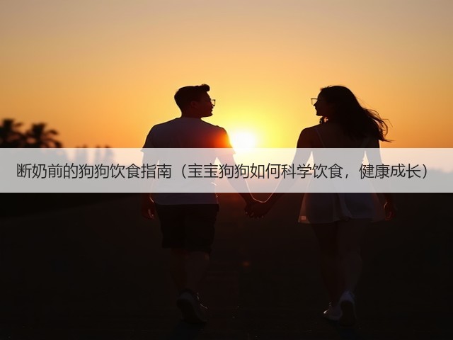 断奶前的狗狗饮食指南(宝宝狗狗如何科学饮食,健康成长)(图3) 断奶前的狗狗饮食指南(宝宝狗狗如何科学饮食,健康成长)(图3)