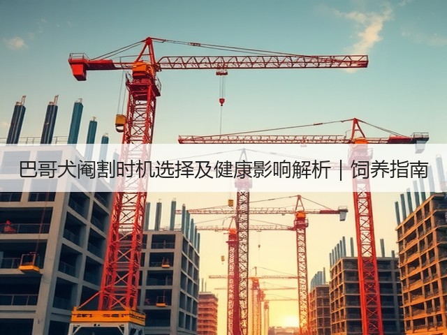 巴哥犬阉割时机选择及健康影响解析|饲养指南(图2) 巴哥犬阉割时机选择及健康影响解析|饲养指南(图2)