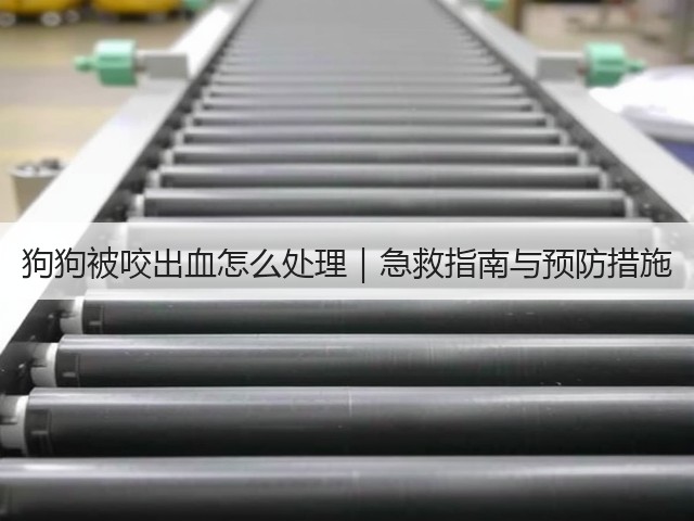 狗狗被咬出血怎么处理｜急救指南与预防措施(图2)