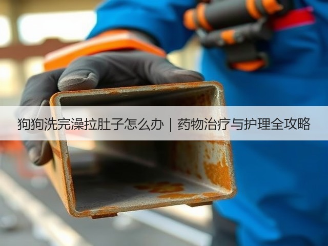 狗狗洗完澡拉肚子怎么办|药物治疗与护理全攻略(图2) 狗狗洗完澡拉肚子怎么办|药物治疗与护理全攻略(图2)