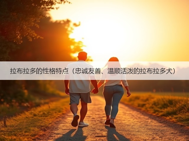 拉布拉多的性格特点(忠诚友善、温顺活泼的拉布拉多犬)(图3) 拉布拉多的性格特点(忠诚友善、温顺活泼的拉布拉多犬)(图3)