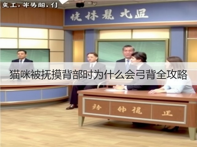 猫咪被抚摸背部时为什么会弓背全攻略(图1) 猫咪被抚摸背部时为什么会弓背全攻略(图1)