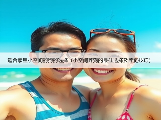 适合家里小空间的狗的选择(小空间养狗的最佳选择及养狗技巧)(图3) 适合家里小空间的狗的选择(小空间养狗的最佳选择及养狗技巧)(图3)