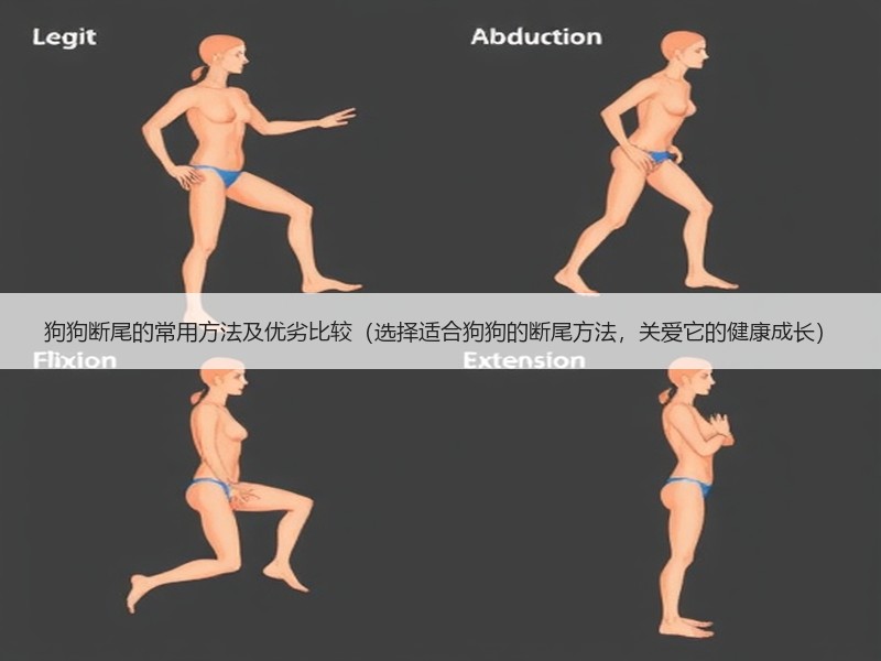 狗狗断尾的常用方法及优劣比较（选择适合狗狗的断尾方法，关爱它