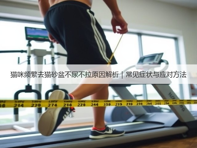 猫咪频繁去猫砂盆不尿不拉原因解析|常见症状与应对方法(图1) 猫咪频繁去猫砂盆不尿不拉原因解析|常见症状与应对方法(图1)