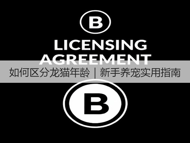 如何区分龙猫年龄｜新手养宠实用指南(图2)