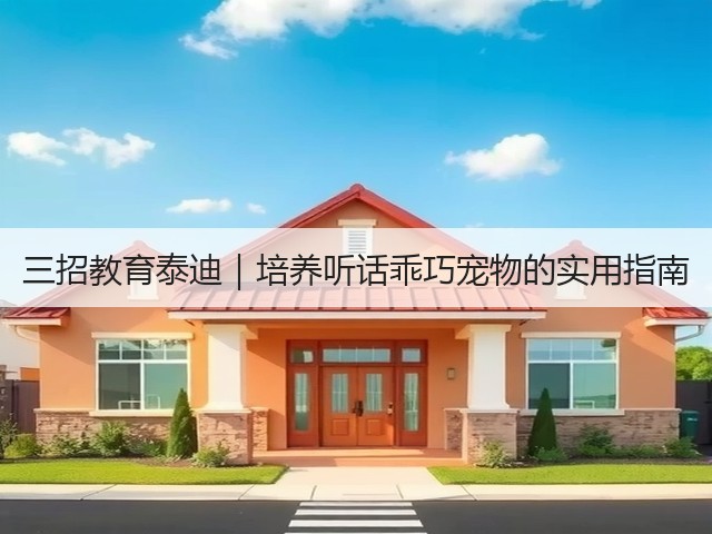 三招教育泰迪|培养听话乖巧宠物的实用指南(图2) 三招教育泰迪|培养听话乖巧宠物的实用指南(图2)