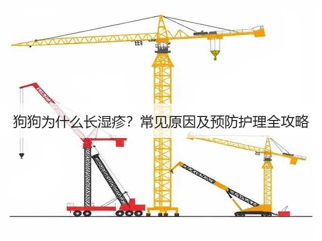狗狗为什么长湿疹?常见原因及预防护理全攻略(图1) 狗狗为什么长湿疹?常见原因及预防护理全攻略(图1)