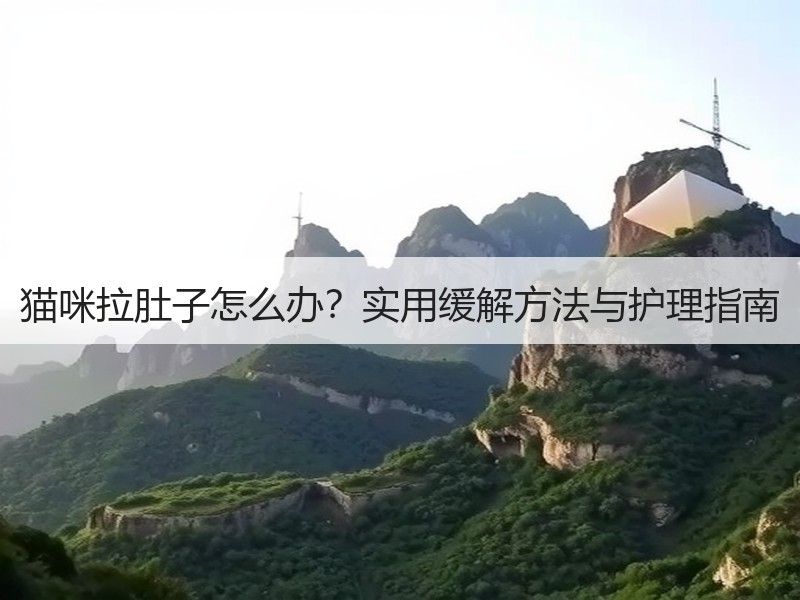 猫咪拉肚子怎么办？实用缓解方法与护理指南