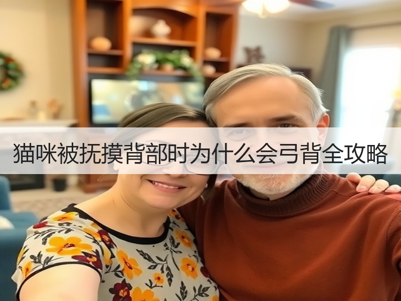 猫咪被抚摸背部时为什么会弓背全攻略