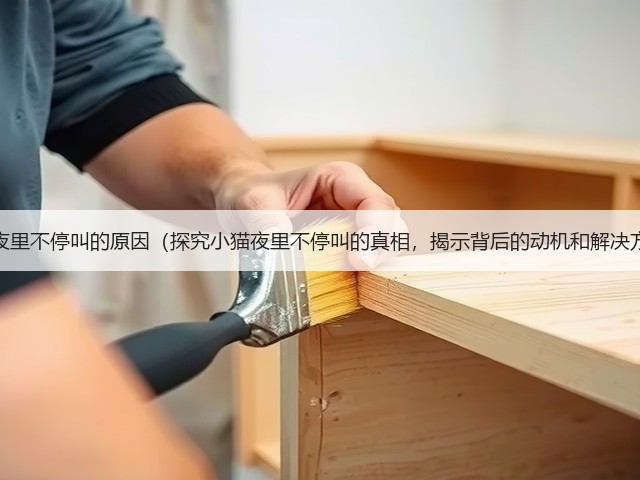 小猫夜里不停叫的原因(探究小猫夜里不停叫的真相,揭示背后的动机和解决方法)(图3) 小猫夜里不停叫的原因(探究小猫夜里不停叫的真相,揭示背后的动机和解决方法)(图3)