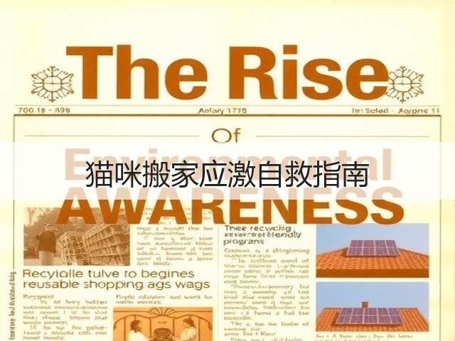 猫咪搬家应激自救指南(图1) 猫咪搬家应激自救指南(图1)