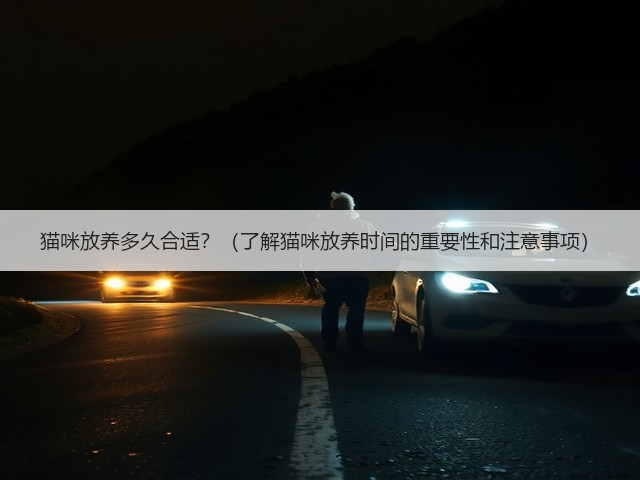 猫咪放养多久合适？（了解猫咪放养时间的重要性和注意事项）(图3)
