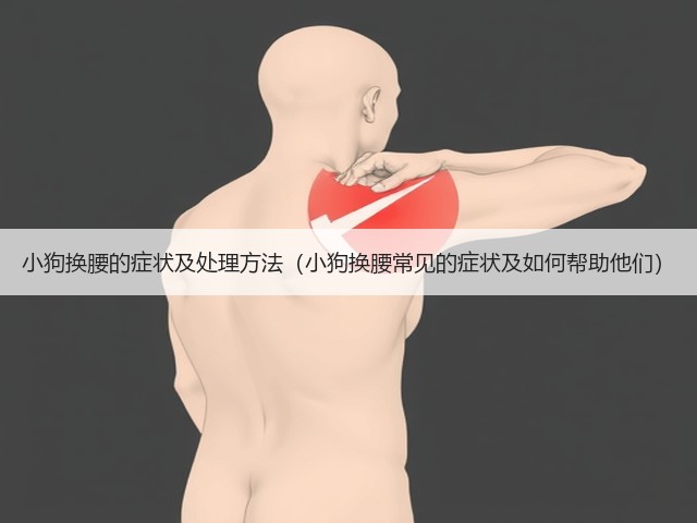 小狗换腰的症状及处理方法(小狗换腰常见的症状及如何帮助他们)(图3) 小狗换腰的症状及处理方法(小狗换腰常见的症状及如何帮助他们)(图3)