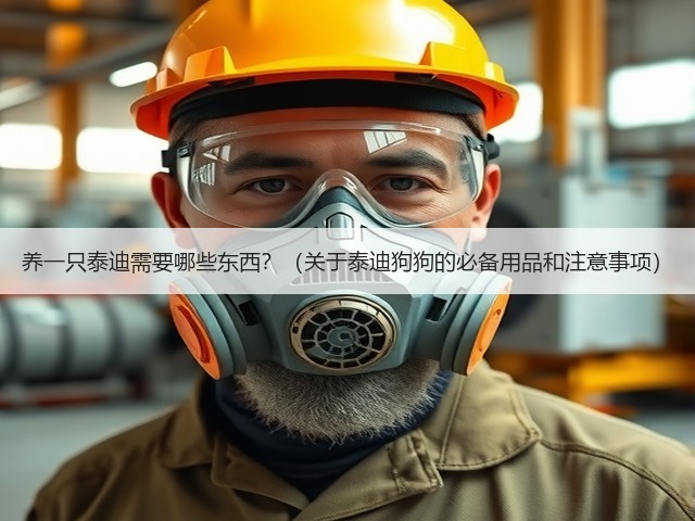 养一只泰迪需要哪些东西?(关于泰迪狗狗的必备用品和注意事项)(图3) 养一只泰迪需要哪些东西?(关于泰迪狗狗的必备用品和注意事项)(图3)