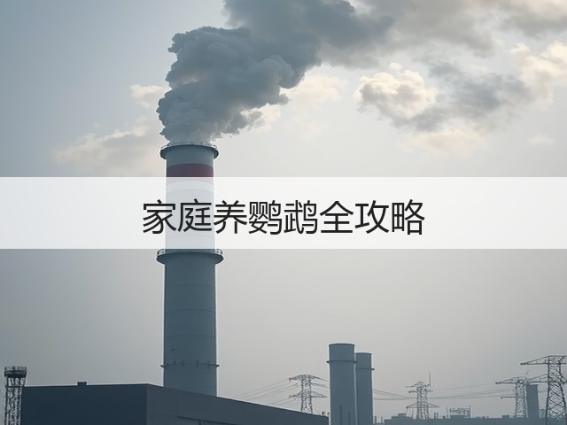 家庭养鹦鹉全攻略(图1) 家庭养鹦鹉全攻略(图1)