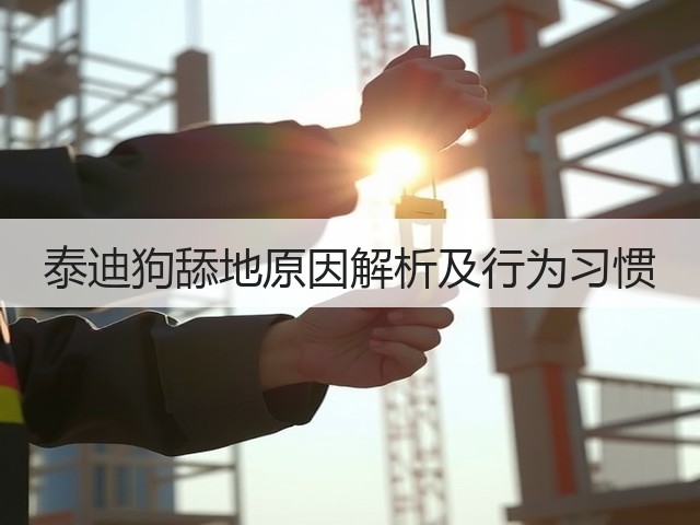 泰迪狗舔地原因解析及行为习惯(图3) 泰迪狗舔地原因解析及行为习惯(图3)