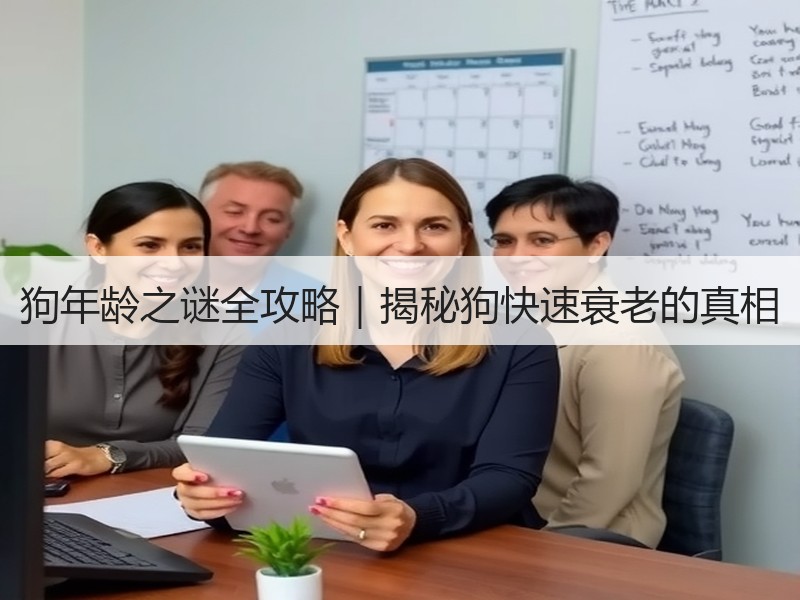 狗年龄之谜全攻略｜揭秘狗快速衰老的真相