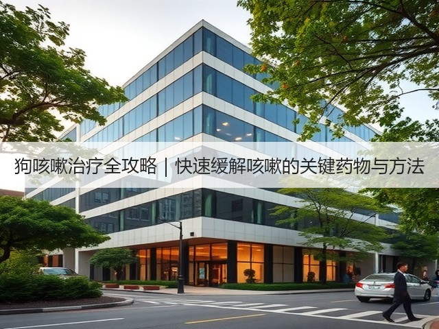 狗咳嗽治疗全攻略|快速缓解咳嗽的关键药物与方法(图2) 狗咳嗽治疗全攻略|快速缓解咳嗽的关键药物与方法(图2)