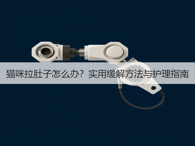 猫咪拉肚子怎么办？实用缓解方法与护理指南(图2)