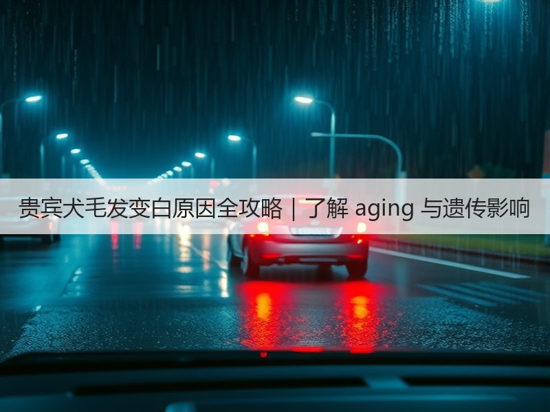 贵宾犬毛发变白原因全攻略｜了解 aging 与遗传影响