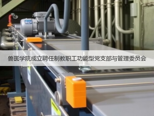 兽医学院成立聘任制教职工功能型党支部与管理委员会(图3) 兽医学院成立聘任制教职工功能型党支部与管理委员会(图3)