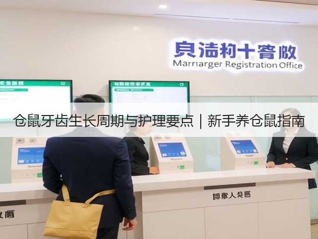 仓鼠牙齿生长周期与护理要点｜新手养仓鼠指南(图2)