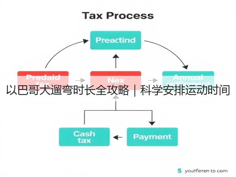 以巴哥犬遛弯时长全攻略｜科学安排运动时间