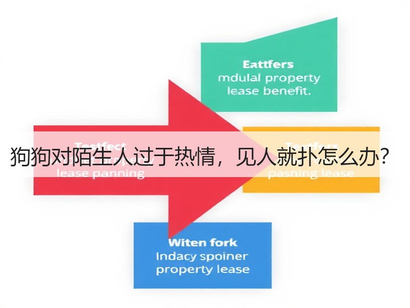 狗狗对陌生人过于热情，见人就扑怎么办？
